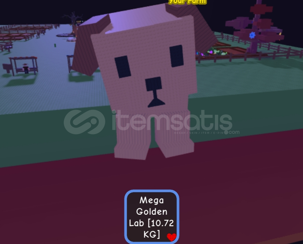 TİTANİC GOLDEN LAB TİTANİC GOLDEN LAB