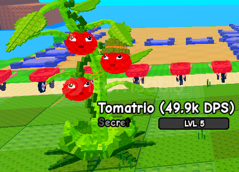 Tomatrio 49.9k DAMAGE / Plants Vs Brainrots Tomatrio 49.9k DAMAGE / Plants Vs Brainrots