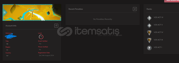 toplam 18300 vp yatırlmıs güzel hesab