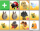 Toplu Pet Satışı!