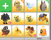 Toplu Pet Satışı! Toplu Pet Satışı!