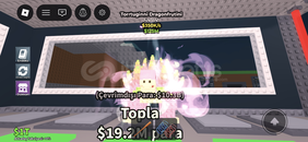 ⭐️TORRTUGİNNİ DRAGONFRUTİNİ⭐️