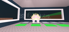 Tortugini Dragonfruitini 350K