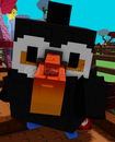 toucan