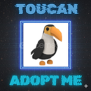 Toucan Adopt Me