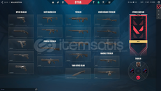 TR 10 lv mail onaysız