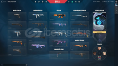 TR 11075VP YATIRILMIŞ EFSANE MAİLLİ HESAP