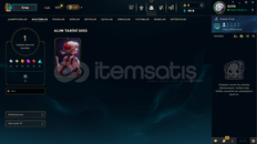 TR +19 LVL MAİL DEĞİŞEN