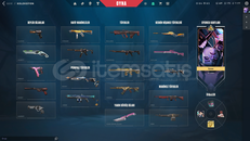 TR 2 BIÇAK 3 VANDAL 1 PHANTOM 34 SKİNLİ HESAP