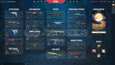 TR 2 BIÇAK VANDAL PHANTOM 19 SKİNLİ HESAP