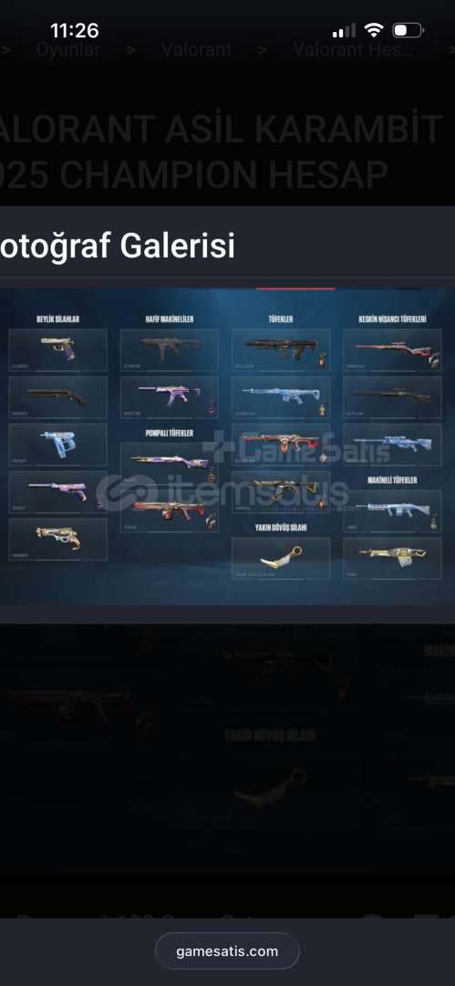 TR/2025 champ vandal/asil karambit TR/2025 champ vandal/asil karambit