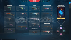 ⚔️ TR 221 Lv Hesap | Tr Sunucu