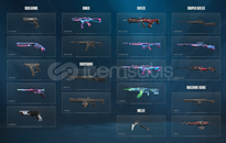 TR 24K VPLI Immortal 2 + Lol Hesabı