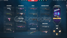 ✨TR 25K VP ENV. VCT LOCKLU HESAP