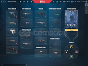 ✨[TR ☘️ +26K VP HARCANMIŞ CHAMPİONS 21 KARAMBİT