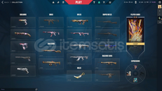 ✨TR 26K VP / RGX PRO BLADE EJDER VANDAL