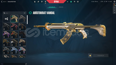 TR 30 LEVEL ARİSTOKRAT VANDALLI MAİLLİ HESAP!!!