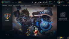 TR | 39 SKİN | UNRANKED