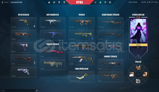 ✨[⚡️TR +40K VP ENV. / 2 CHAMPİONS SETLİ FULL