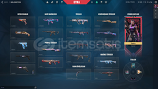 TR - Kaos Vandal + Kronomi Vandal Fırsat Hesap