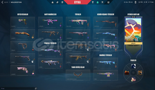  TR +91K VP ENV. / VCT LOCK / RADIANT SET 