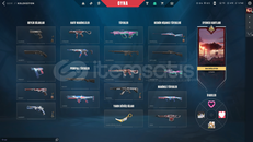 TR ASİL KARAMBİT VANDAL PHANTOMLU HESAP TR ASİL KARAMBİT VANDAL PHANTOMLU HESAP