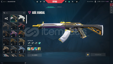 ✨TR // ASİL VANDAL + NEPTUN VANDAL UNRANKED✨