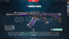 TR✨Asil/Yağmacı/Seri Tetik✨