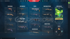 TR BIÇAK 2 VANDAL PHANTOM BUCKYLİ HESAP