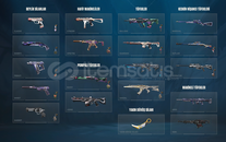 TR Bol Skin Uygun Fiyat Mainlemelik Hesap