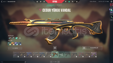 TR CESUR YÜREK VANDAL ÖZEL HAREKAT PHANTM