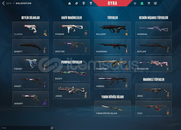 TR / CHAMPİONS 2024 SET + ANOMALİ SET