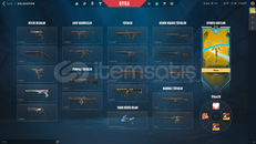 TR CHAMPİONS 25 VANDAL VALORANT HESABI 