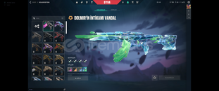 TR - Dolmir'in intikamı Set Fırsat Hesap