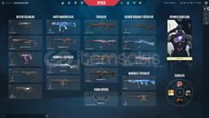 TR FELAKETİN KALBİ SETLİ 15 SKİNLİ HESAP