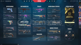 TR GOLD 2 DOLU HESAP