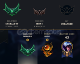 TR HANDMADE FRESH ZÜMRÜT4 +30 LP GAIN 80WR