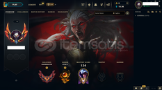 TR - HANDMADE GRANDMASTER 330+ LP / +24 LP GAIN