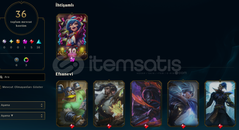 TR / HANDMADE / IRON / 36 SKIN / HERO 76