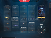 % TR İçi Doplu Hesap 1 - 50 Skin Arası Hesap