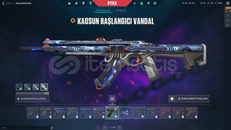 TR KAOS VANDALLI MAİLLİ+BPLİ HESAP SORUNSUZ