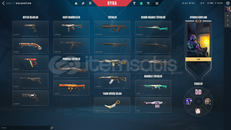 TR KARAMBİT 2 VANDAL 1 PHANTOM 30 SKİNLİ HESAP