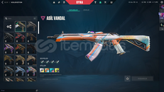 TR KAYITLI ASİL PHANTOM MAİLLİ HESAP