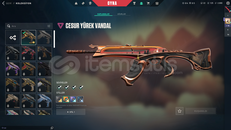 TR KAYITLI CESUR YÜREK VANDAL MAİLLİ HESAP.