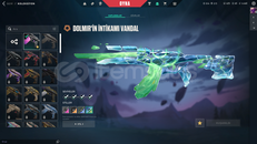 TR KAYITLI DOLMİR VANDAL MAİLLİ HESAP