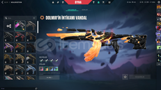 TR KAYITLI DOLMİR VANDAL MAİLLİ HESAP.