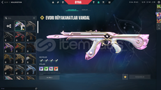 TR KAYITLI EVORİ VANDL SIR ÇİÇEĞİ PHANTM MAİLLİ