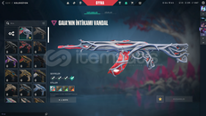 TR KAYITLI GAİA VANDAL MAİLLİ HESAP