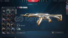 TR KAYITLI YİTİK VANDAL MAİLLİ HESAP