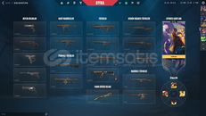 TR MAİL DEĞİŞEN CHAMP 25 VANDAL BIÇAK 